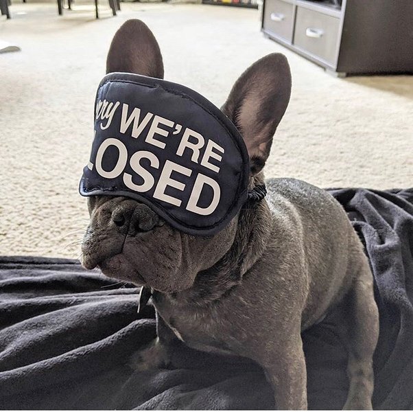 Thumbnail of p-b9xf9lujkij-e189c945cb164072 0