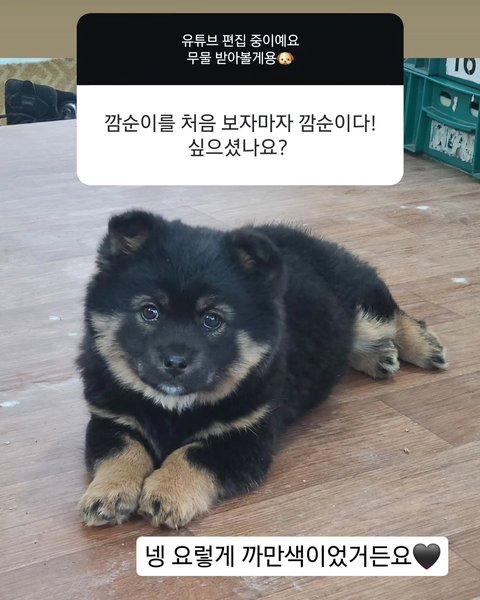 Thumbnail of rdbw2td-q-e1a9a4e04ae44ec3 0