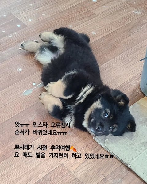 Thumbnail of rdbw2td-q-e1a9a4e04ae44ec3 1