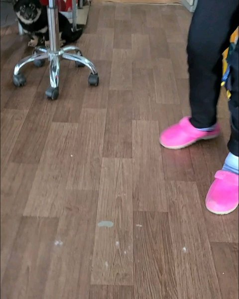 Thumbnail of rdbw2td-q-e1a9a4e04ae44ec3 3