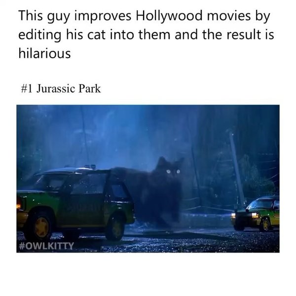 Thumbnail of p-czguhfdcbs6-e1bfefbc42c54fb5 0