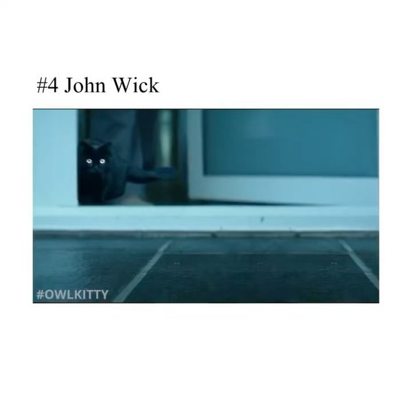 Thumbnail of p-czguhfdcbs6-e1bfefbc42c54fb5 3