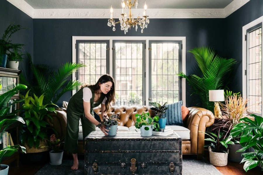 Thumbnail of cc-tiozjzpr-e1d5fd3f52534532 0