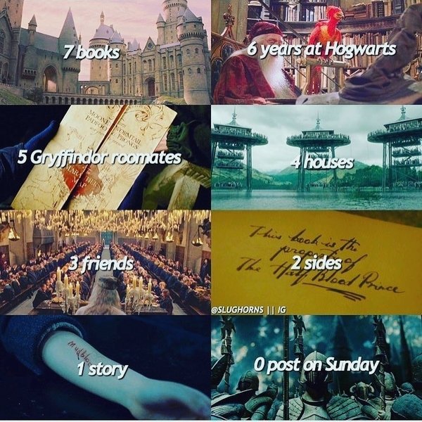 Thumbnail of p-brrpyj2g9dt-e1e4cd475e0c4209 0