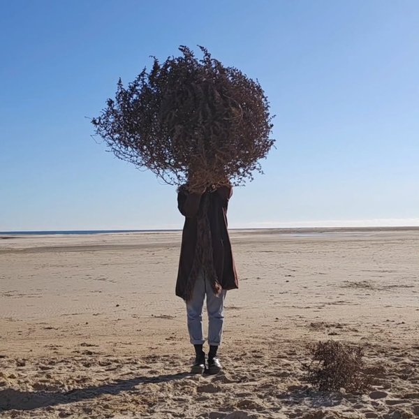 Thumbnail of p-ddcifqwm9bz-e1e9ae5211e14fc5 6