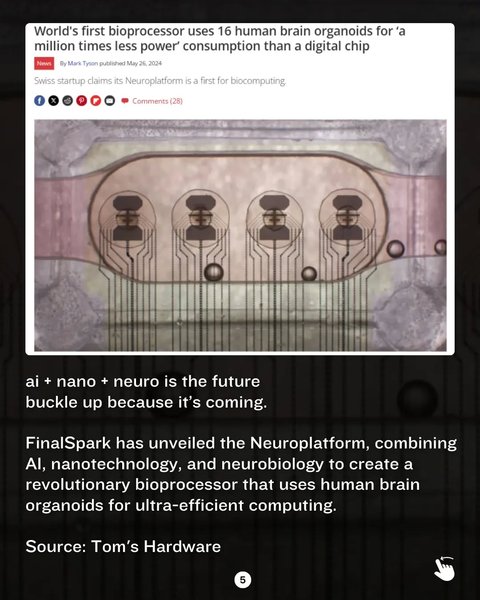 Thumbnail of p-c7ptfjghjdb-e1eb53393beb41fc 5