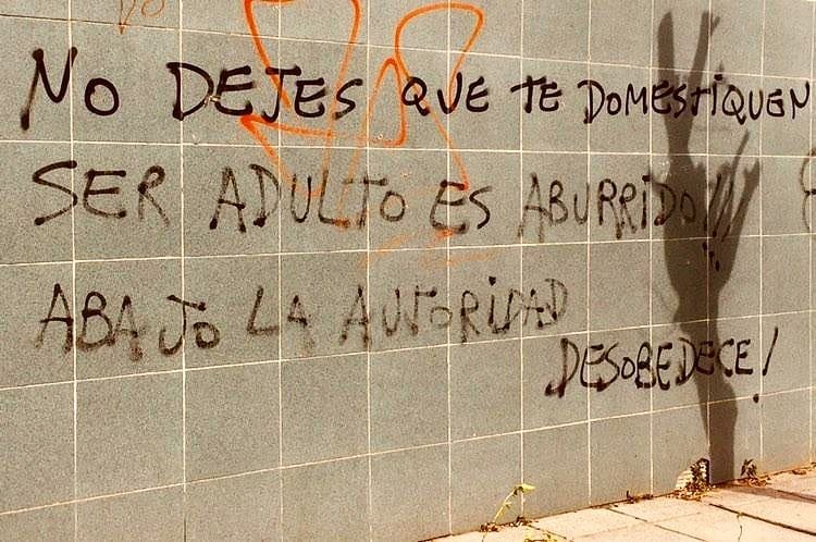 Thumbnail of p-b7g728ta7jn-e1ff35e1747d42c2 0