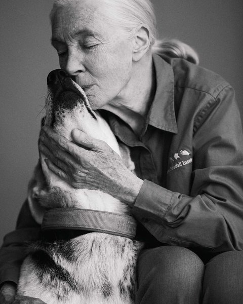 Thumbnail of p-cvsy2jzvrjj-e2216a585c32430a 1