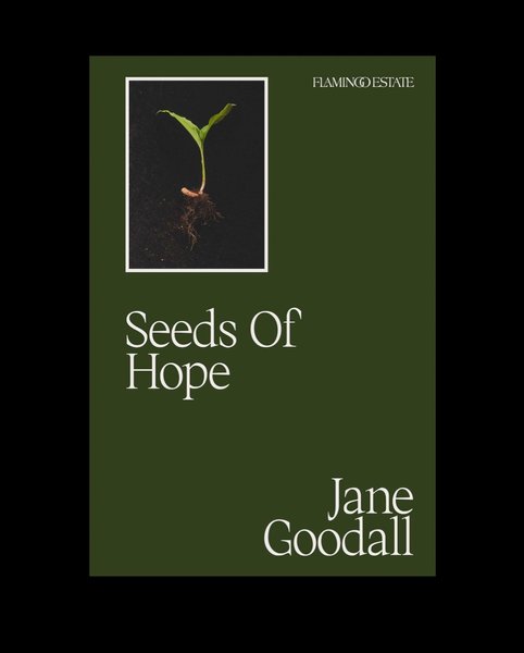 Thumbnail of p-cvsy2jzvrjj-e2216a585c32430a 2