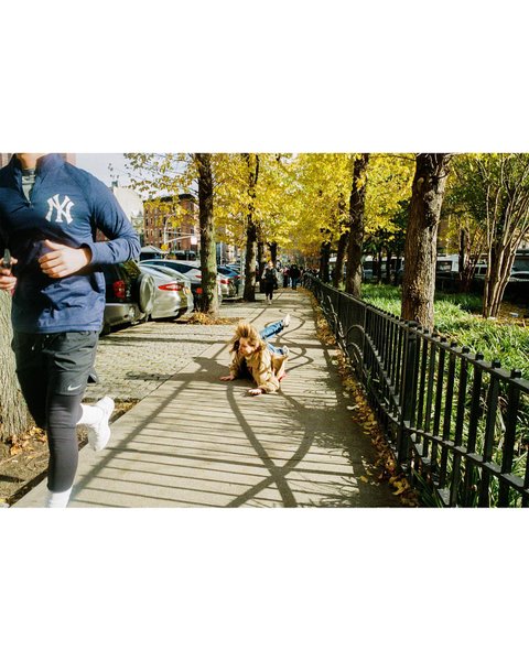 Thumbnail of cyhe02ol0-8-e24e81c3ee3c4fe8 1