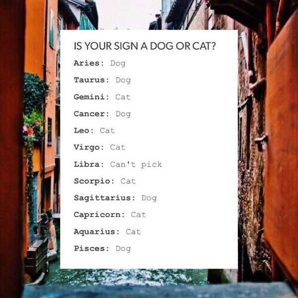 Thumbnail of p-btzigojn6xk-e277b445e0434a26 0