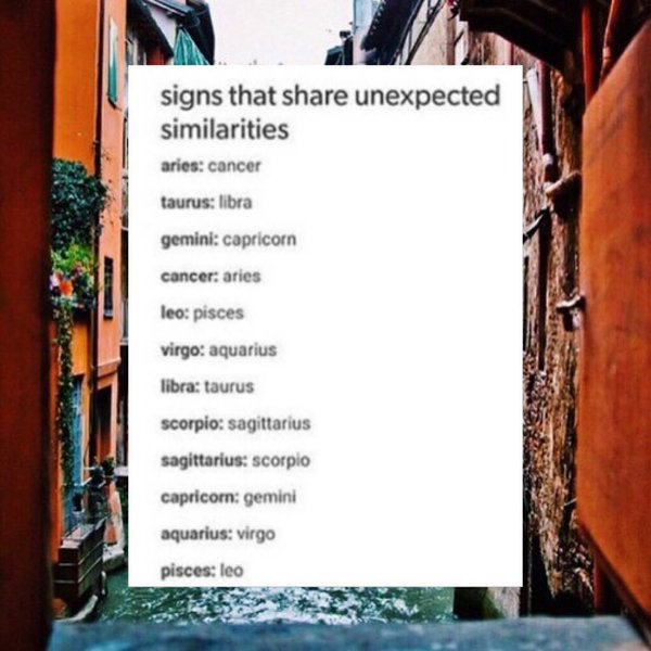 Thumbnail of p-btzigojn6xk-e277b445e0434a26 1