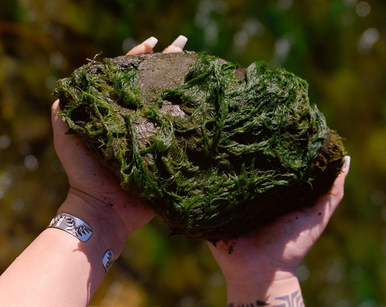 Thumbnail of p-cfwmb8co1bc-e2ab3e1c99ca4b7a 3