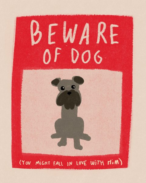 Thumbnail of p-dfvzgdpvxdt-e2b30fd103904cad 1