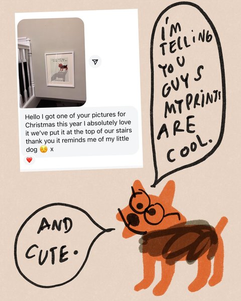 Thumbnail of p-dfvzgdpvxdt-e2b30fd103904cad 12