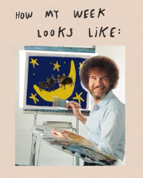 Thumbnail of p-dfvzgdpvxdt-e2b30fd103904cad 13