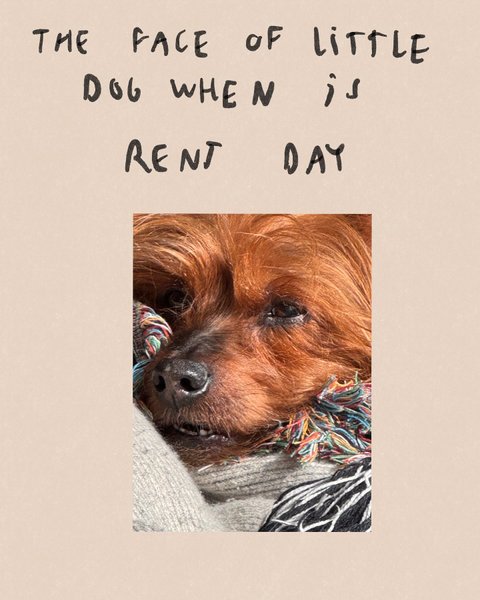 Thumbnail of p-dfvzgdpvxdt-e2b30fd103904cad 14