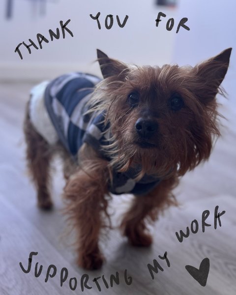 Thumbnail of p-dfvzgdpvxdt-e2b30fd103904cad 16