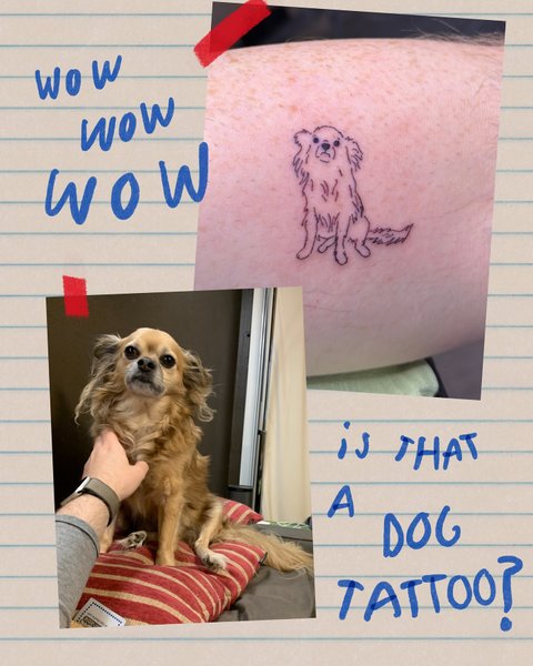 Thumbnail of p-dfvzgdpvxdt-e2b30fd103904cad 4