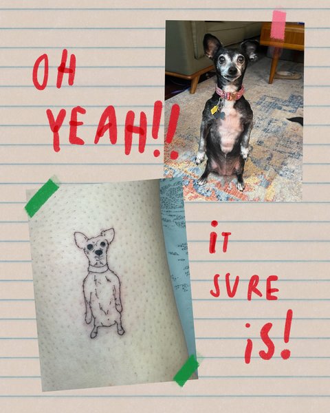 Thumbnail of p-dfvzgdpvxdt-e2b30fd103904cad 5