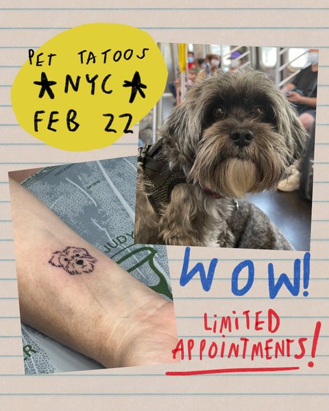 Thumbnail of p-dfvzgdpvxdt-e2b30fd103904cad 6