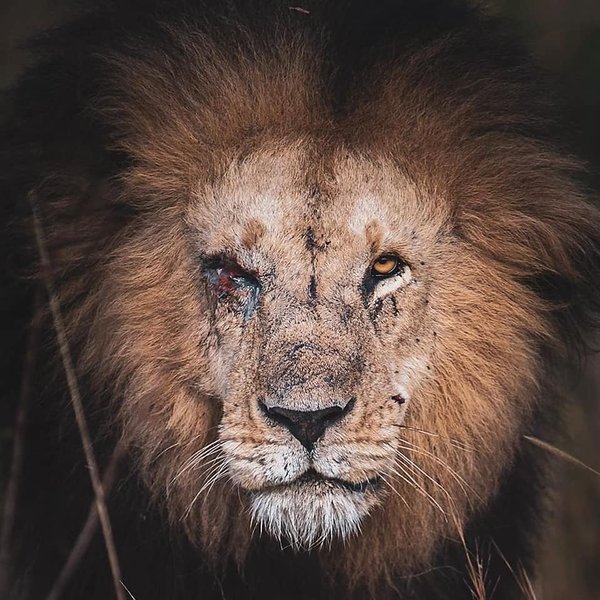 Thumbnail of p-cluqvocjh1p-e2c56fae071f4b4e 0