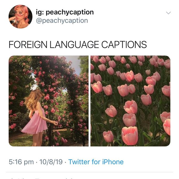 Thumbnail of b0-bdppnur6-e33691cf1732441a 0