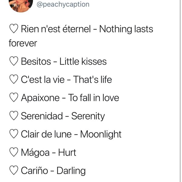 Thumbnail of b0-bdppnur6-e33691cf1732441a 1