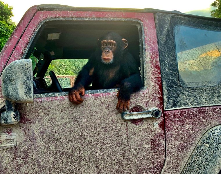 Thumbnail of p-cdzdyf1dgka-e33813bb94c74931 0