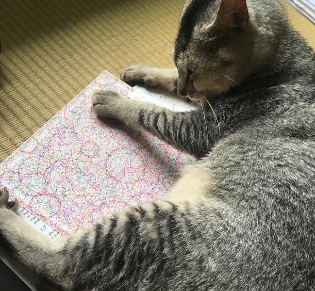 Thumbnail of p-cinw1vapafw-e34e399fb22a45f3 8