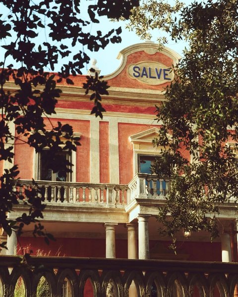 Thumbnail of www-instagram-com-p-doyjy3kcp4l-img-index-1 1