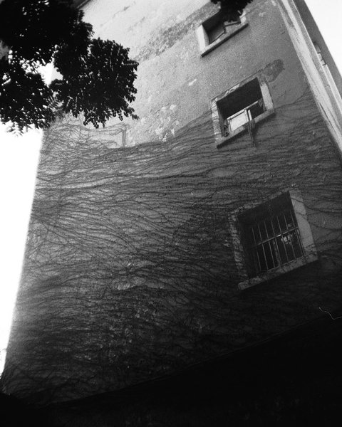 Thumbnail of p-csai8ablpxj-e36b1d7539b04c54 0