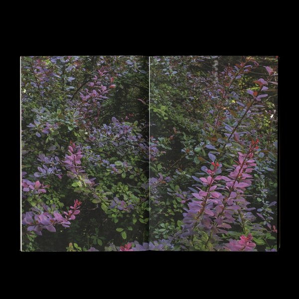 Thumbnail of p-dfsrpk0vlqy-e389acb4f9064f21 2