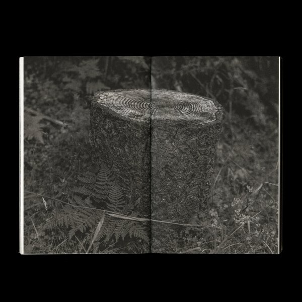 Thumbnail of p-dfsrpk0vlqy-e389acb4f9064f21 3