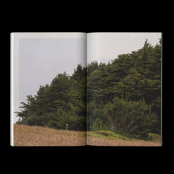 Thumbnail of p-dfsrpk0vlqy-e389acb4f9064f21 6