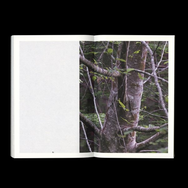 Thumbnail of p-dfsrpk0vlqy-e389acb4f9064f21 9