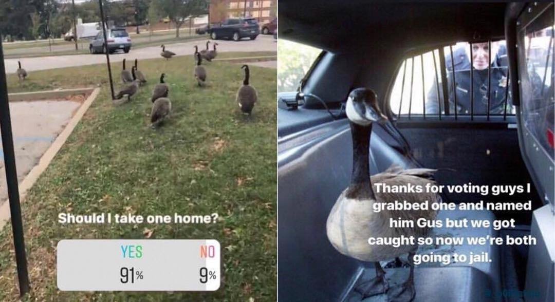 Thumbnail of p-bpsk8aqnzgd-e38b2a2c942d4d48 0