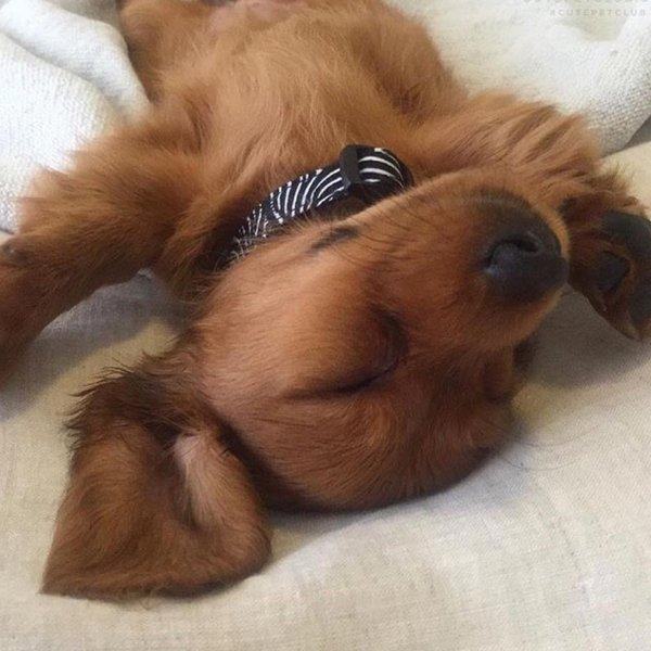 Thumbnail of p-cp09j5ssvn9-e38c89bf5053426e 8