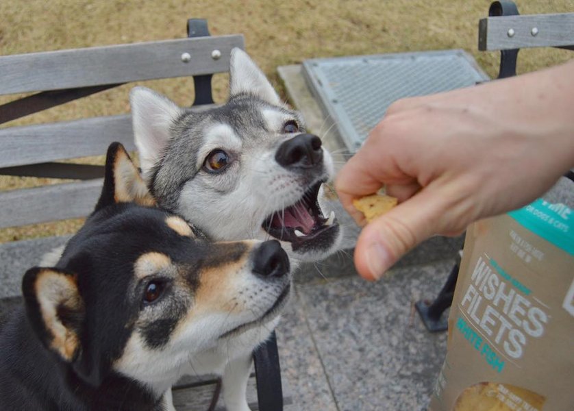 Thumbnail of p-bfvjdxsg5h5-e3aa955ba8bd4dde 0