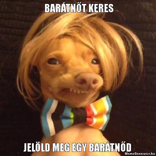 Thumbnail of bozp6-9dkwt-e41c2c8d874d49d7 2