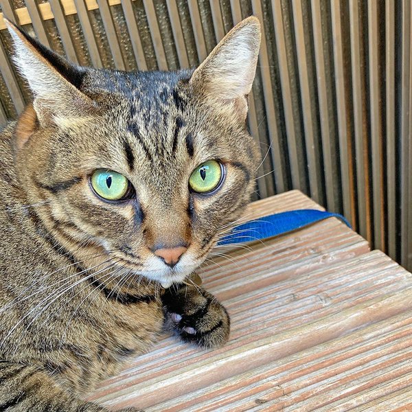 Thumbnail of cj-a8zipwfl-e43e58cd0a5e4e5b 2