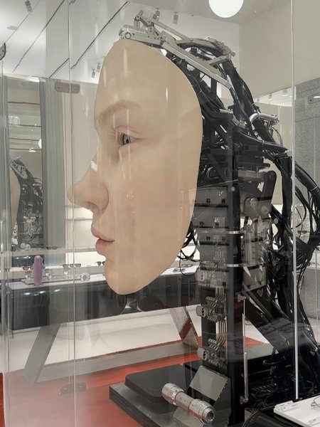 Thumbnail of p-dlybyqwsc0s-e45e740d70334ca7 4