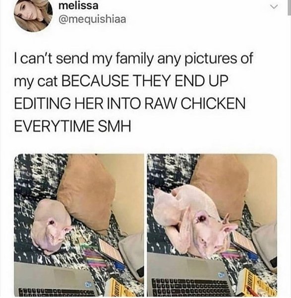 Thumbnail of 8hol0f-jq-e4ae64f9ae284899 0