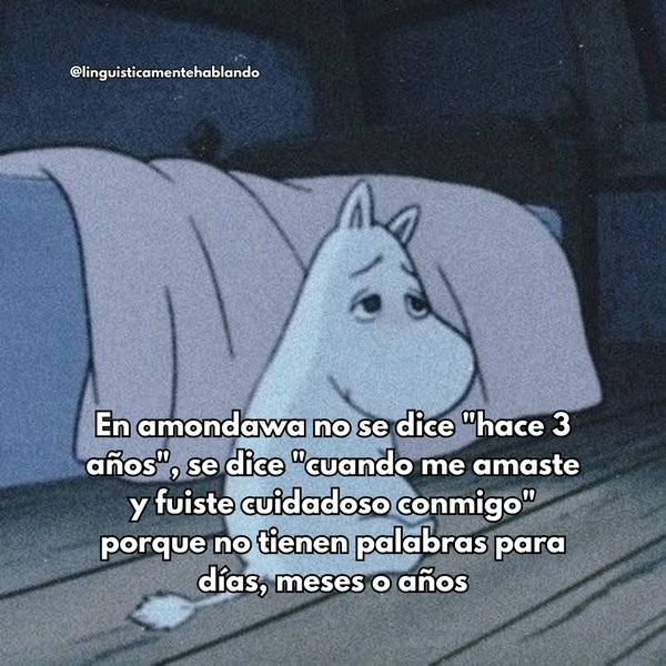 Thumbnail of www-instagram-com-p-dqnsneejqja-img-index-6 2