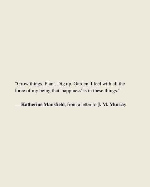 Thumbnail of p-denrtzmyejq-e5038d92c1914735 11