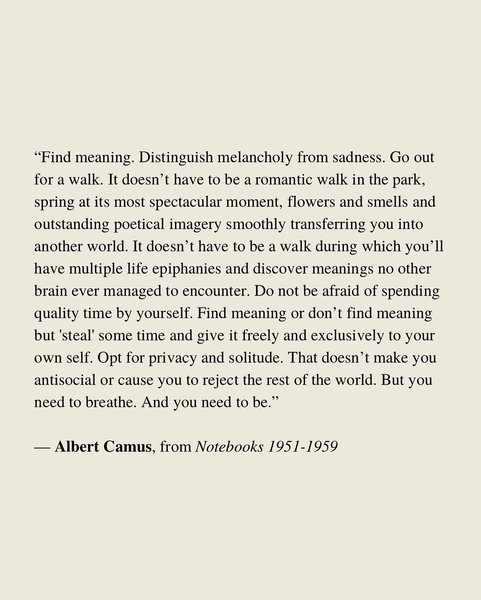 Thumbnail of p-denrtzmyejq-e5038d92c1914735 17