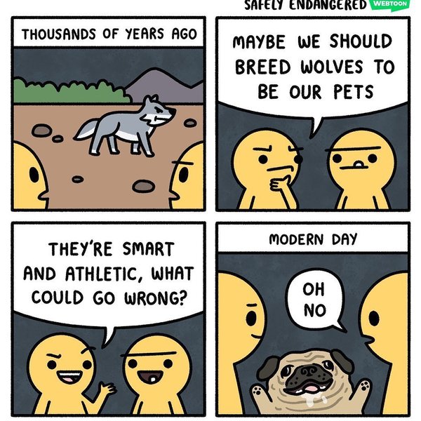 Thumbnail of p-b5awe2rldh5-e5156eb08ffa4c53 1