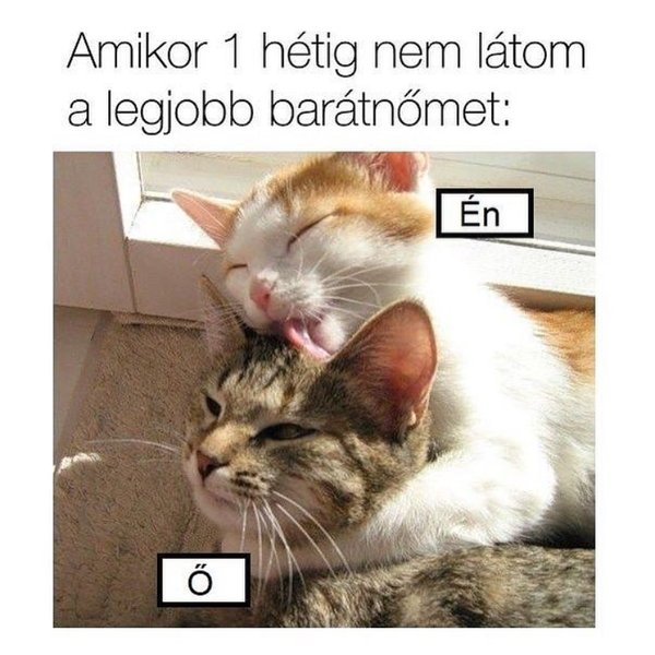 Thumbnail of p-bjt5ugullpf-e51d5c6c913b4ddf 0