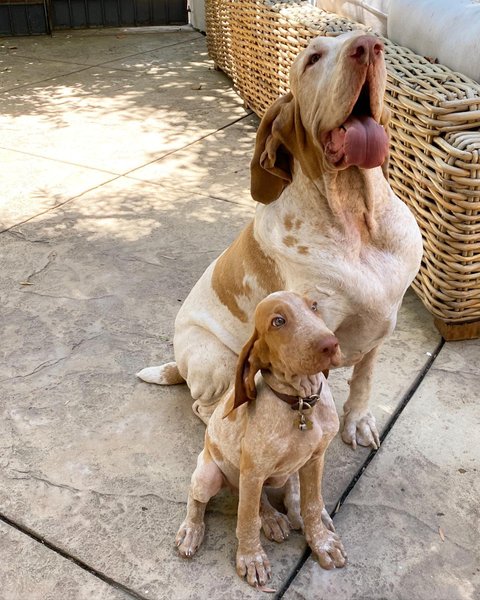 Thumbnail of p-cdxuinejezf-e54aef0a30684528 0