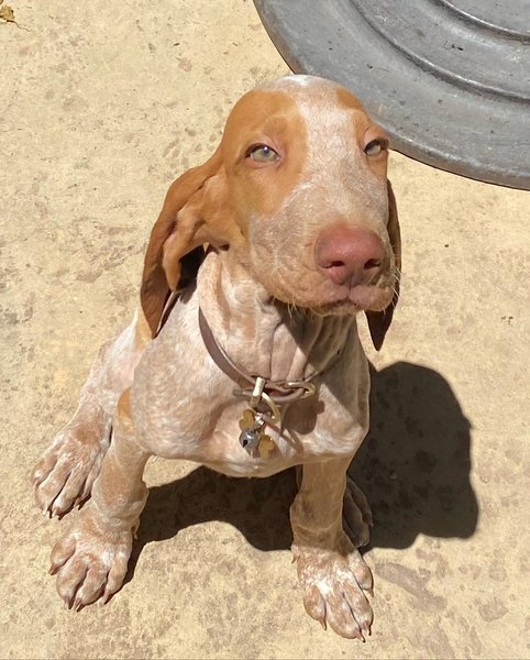 Thumbnail of p-cdxuinejezf-e54aef0a30684528 1